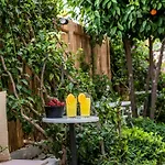 The Poyz Bodrum Bed & Breakfast